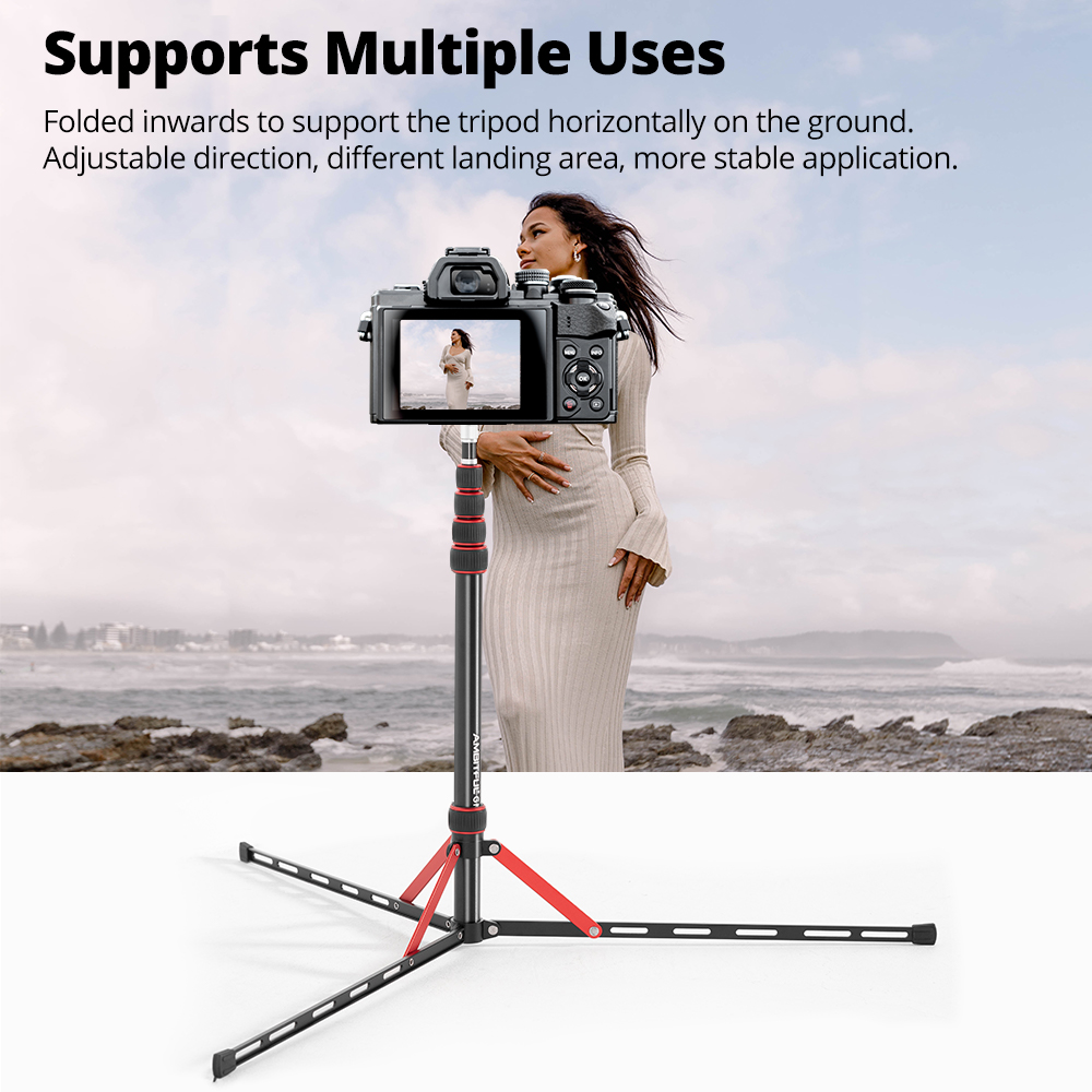 Ambitful GM220 Photographic Li - Photography Basics recension och pris