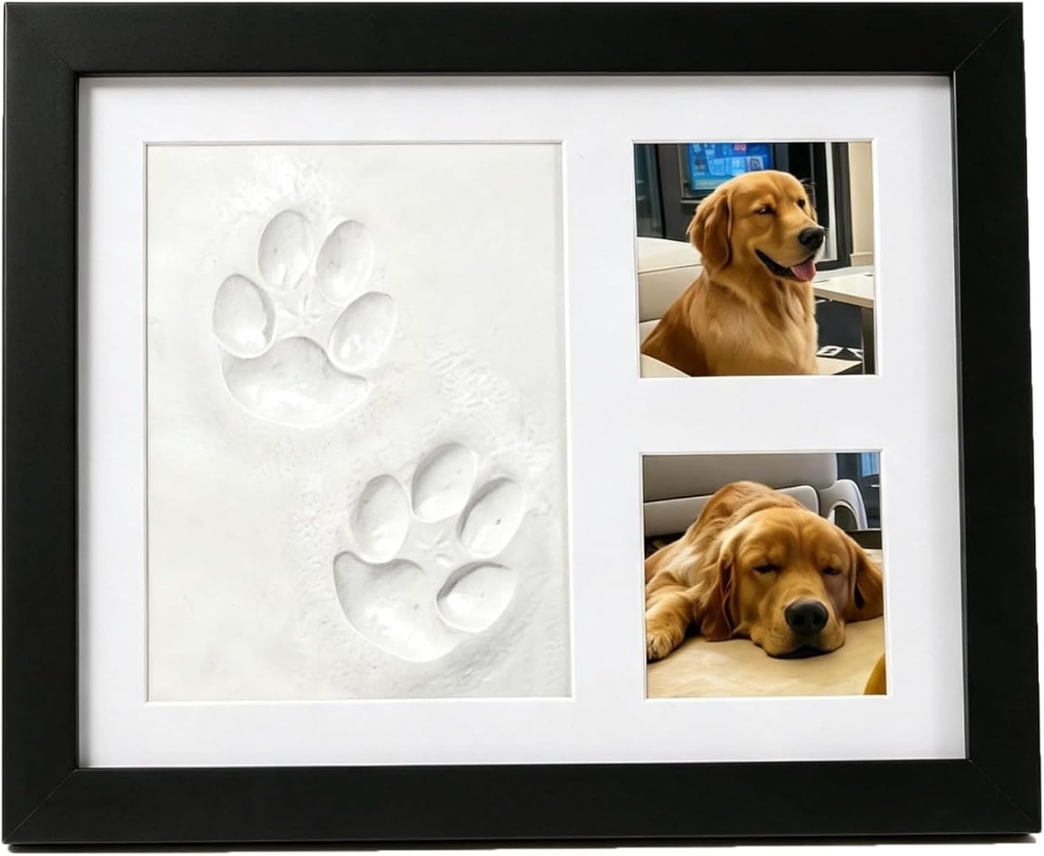 DIY Pet Paw Print Memorial Kit - Photographic Memory recension och pris